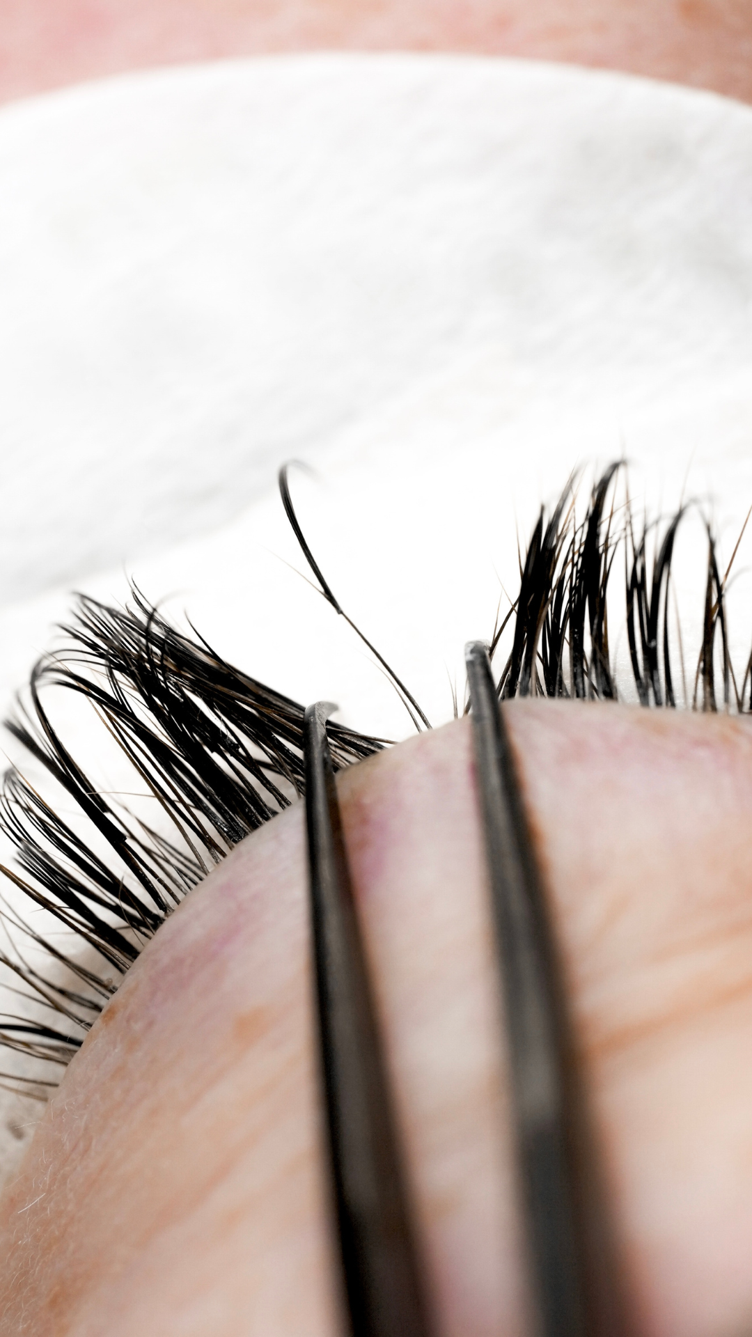 Close-up of lash extensions showing great retention as the natural lash grows out, with tweezers holding the lashes.