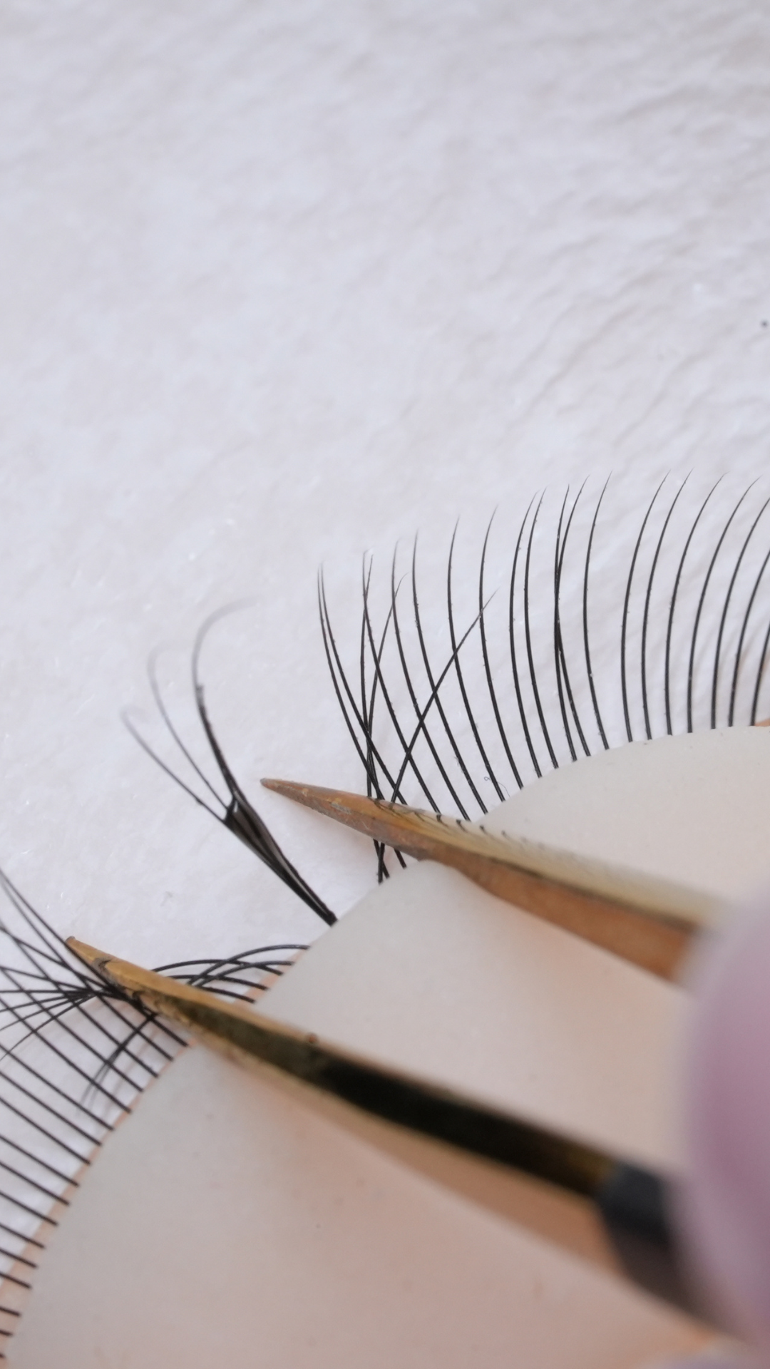Close up of eyelash extensions being isolated with tweezers during lash application