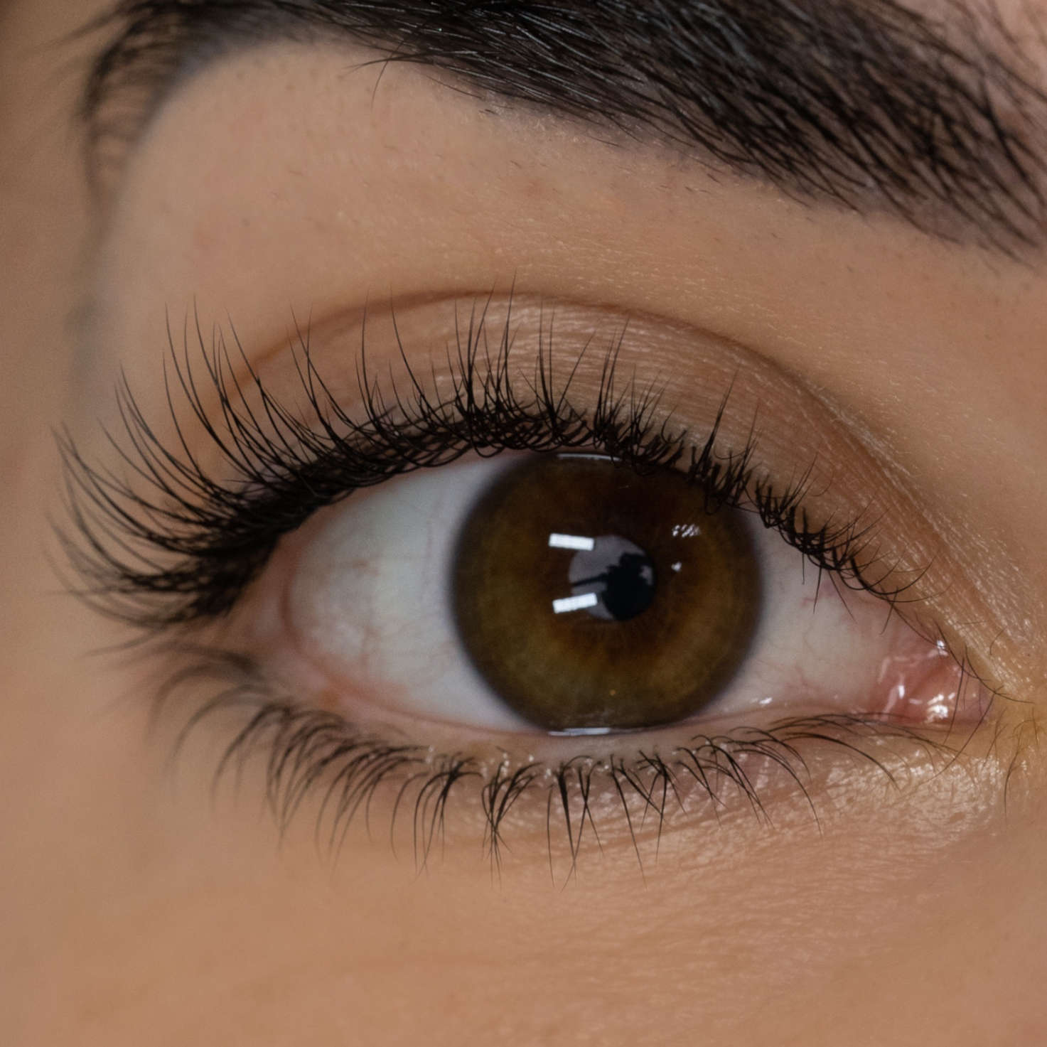 Ultra Dark Volume Lash Extensions