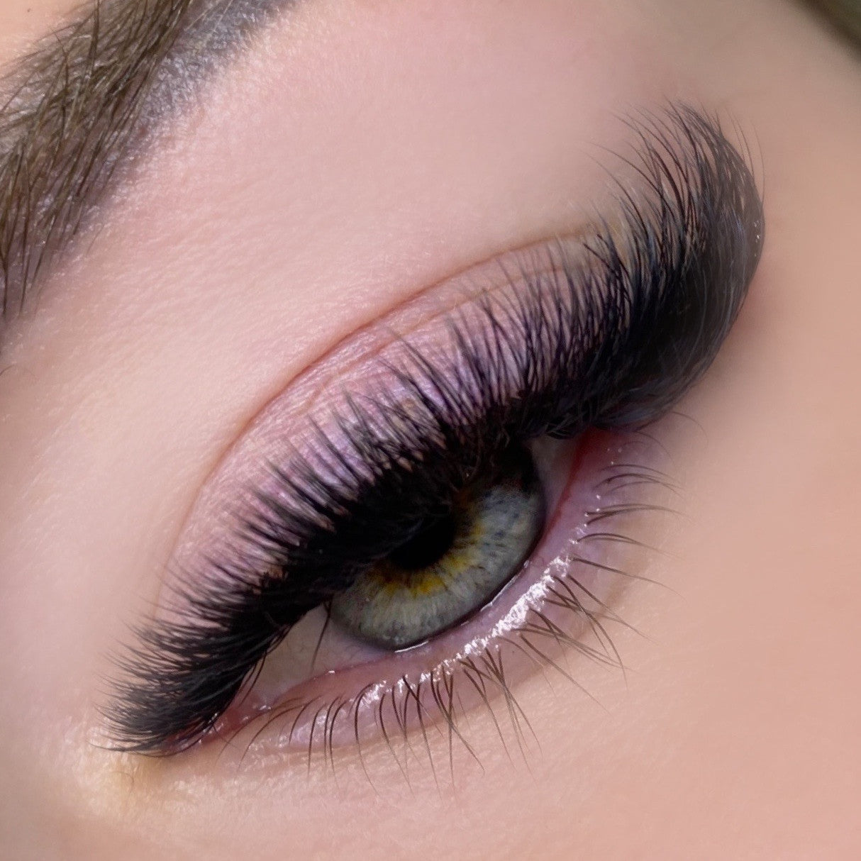12D mega volume premade lash fans
