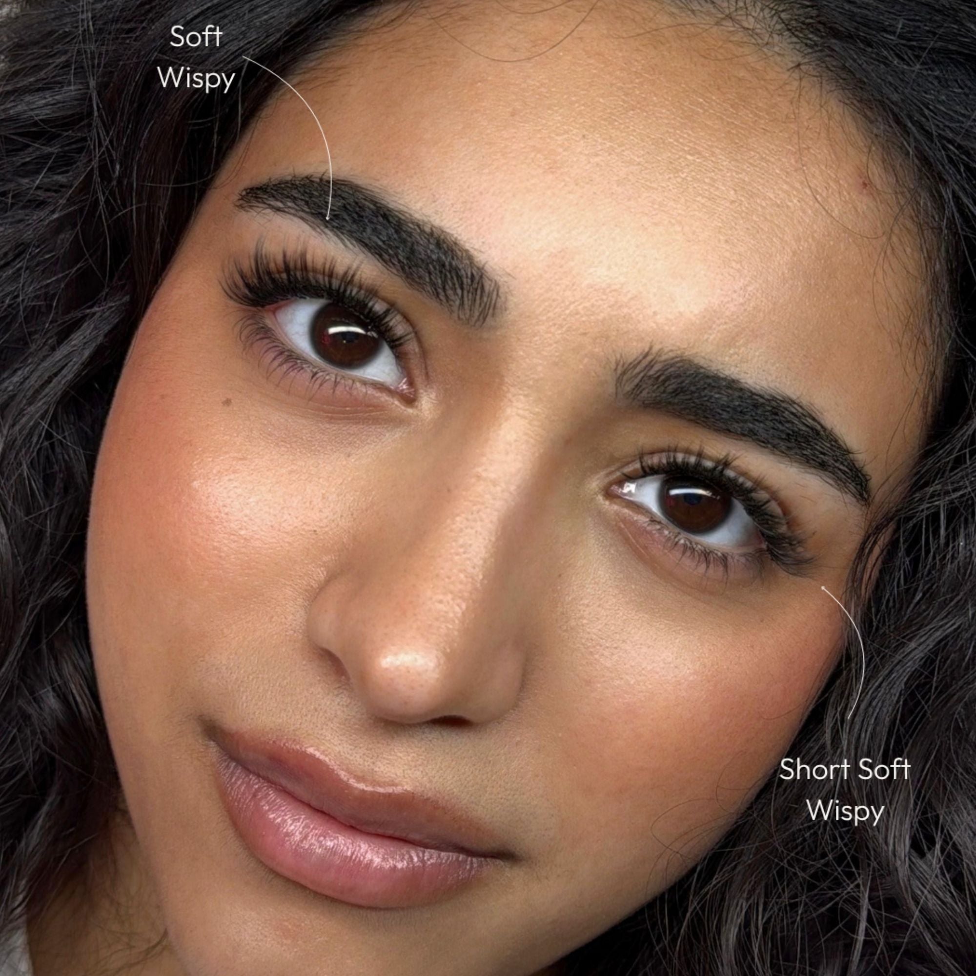 Close-up of a woman's face showing two eyebrow styles labeled 'Soft Wispy' and 'Short Soft Wispy' with thin white guide lines pointing to the brows.