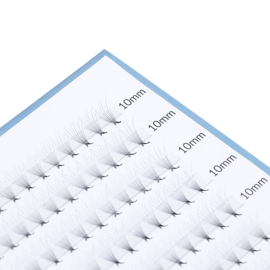 wispy prefan lashes