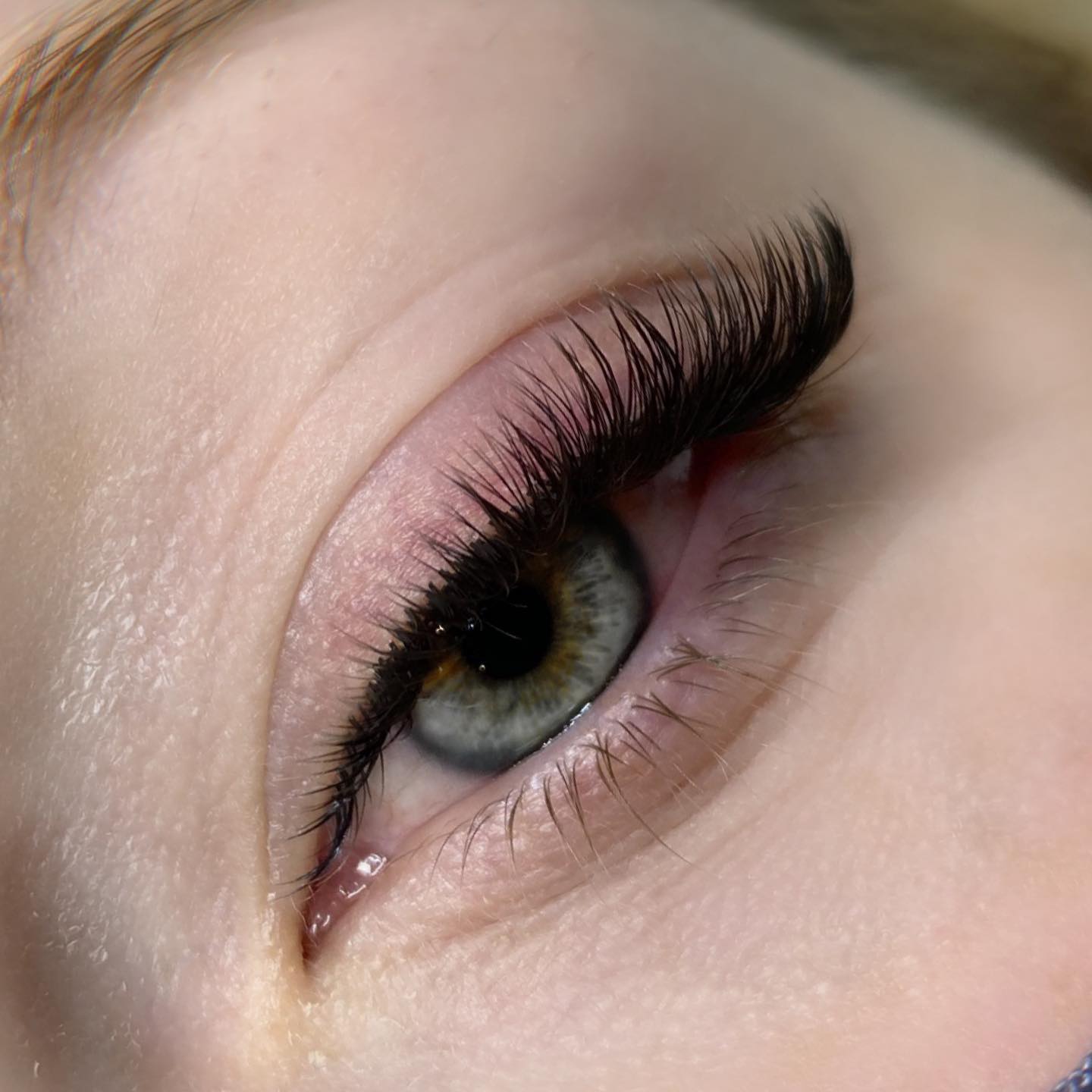 3D premade lash fans