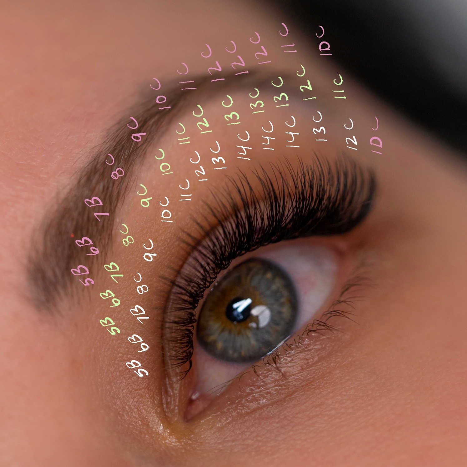 Ultra Dark SHORT Stem Pre-Fan Lashes