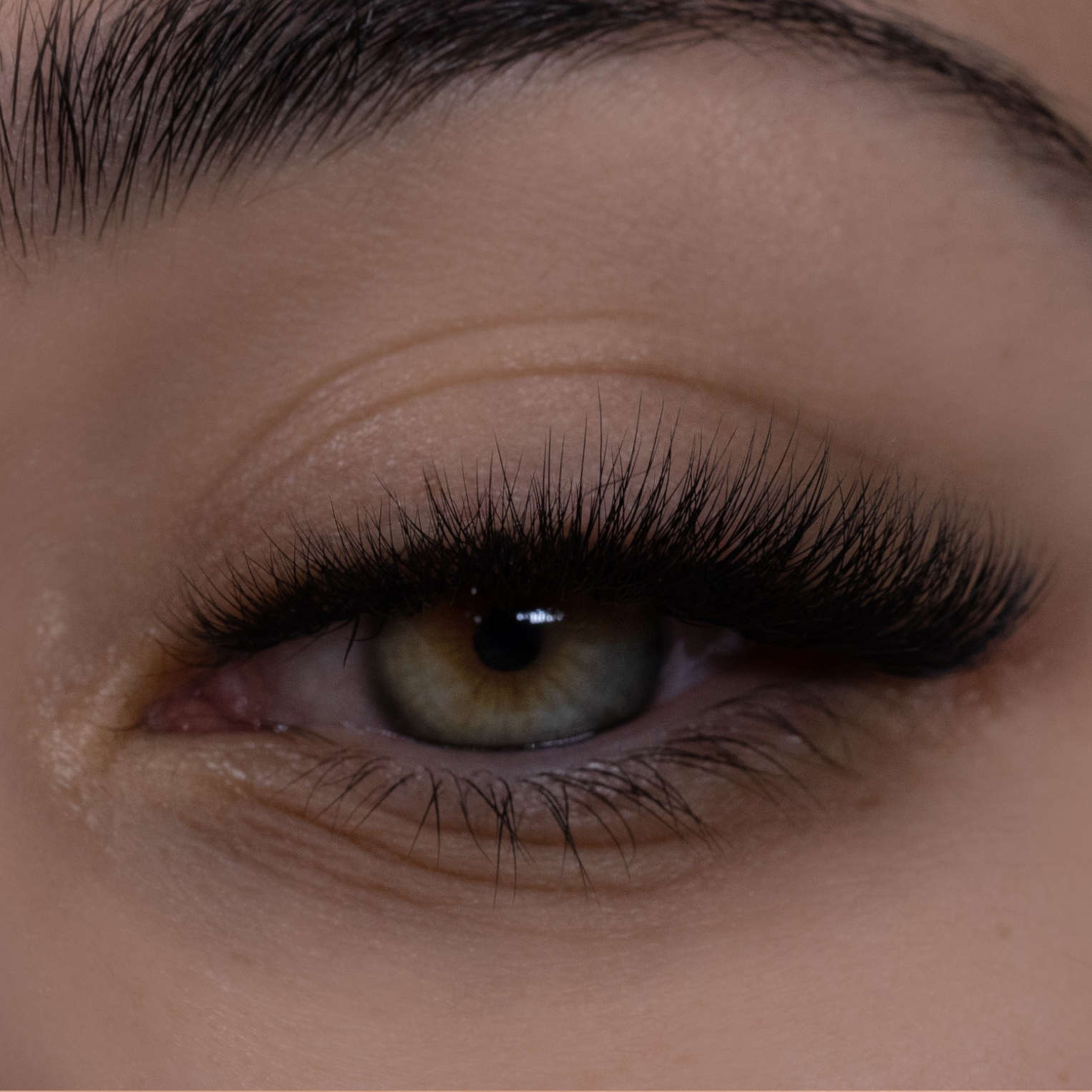 russian volume lashes with 7D mid stem premade fans