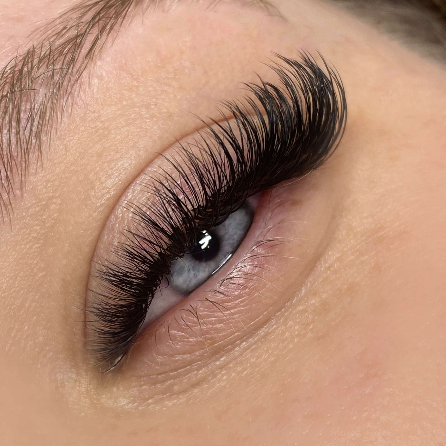 mega volume 8D premade lash fans