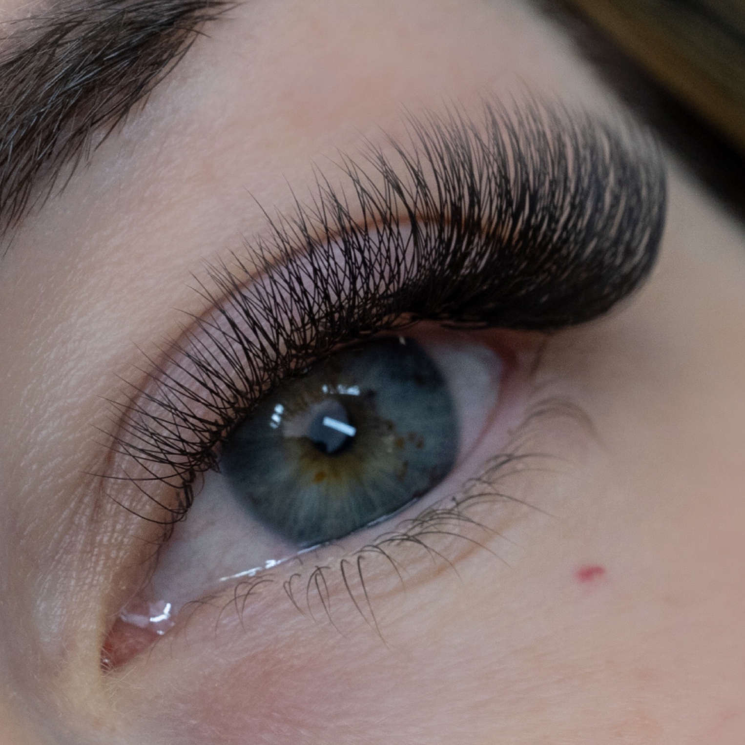 9D mid stem premade lash fans
