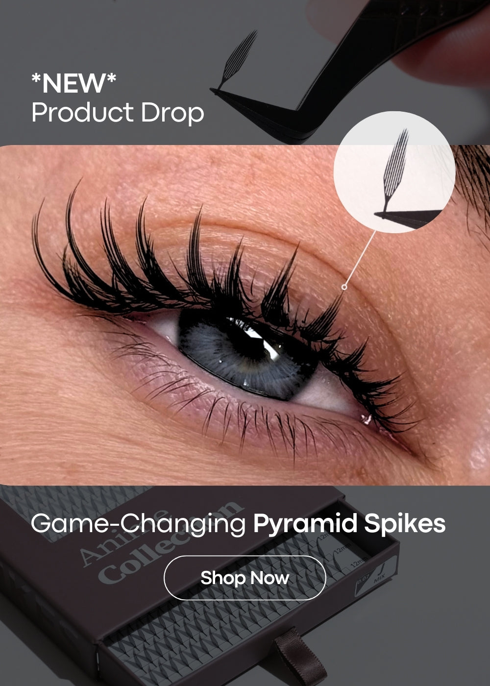 anime lash extensions