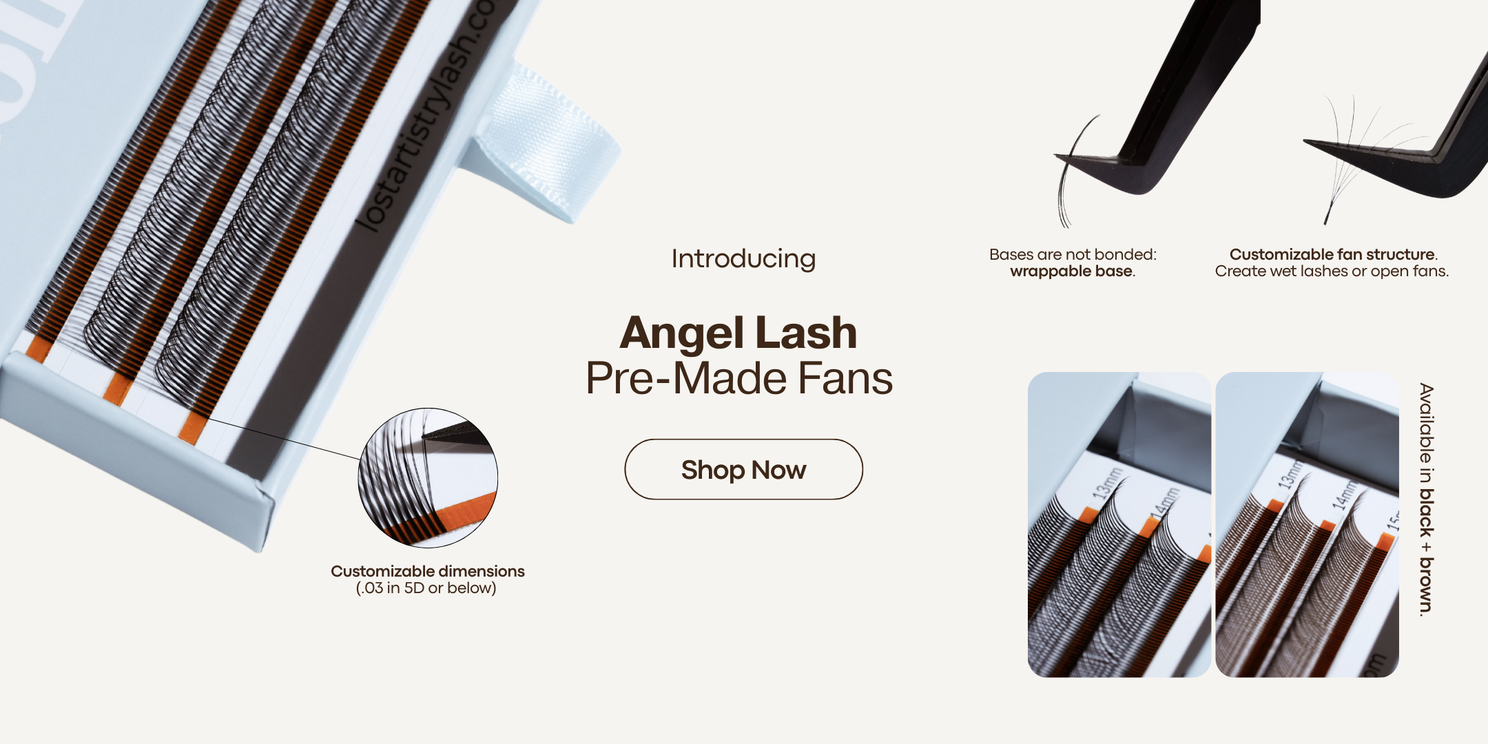 angel lash premade fans