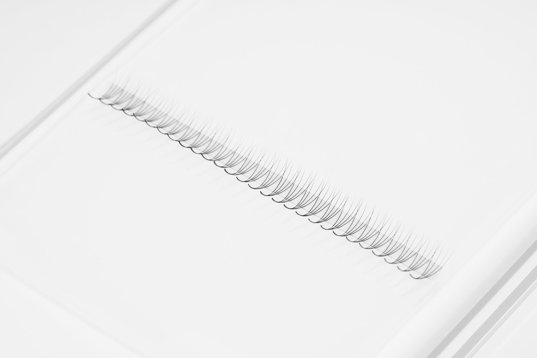 Super Sale Pre-Fan Trays