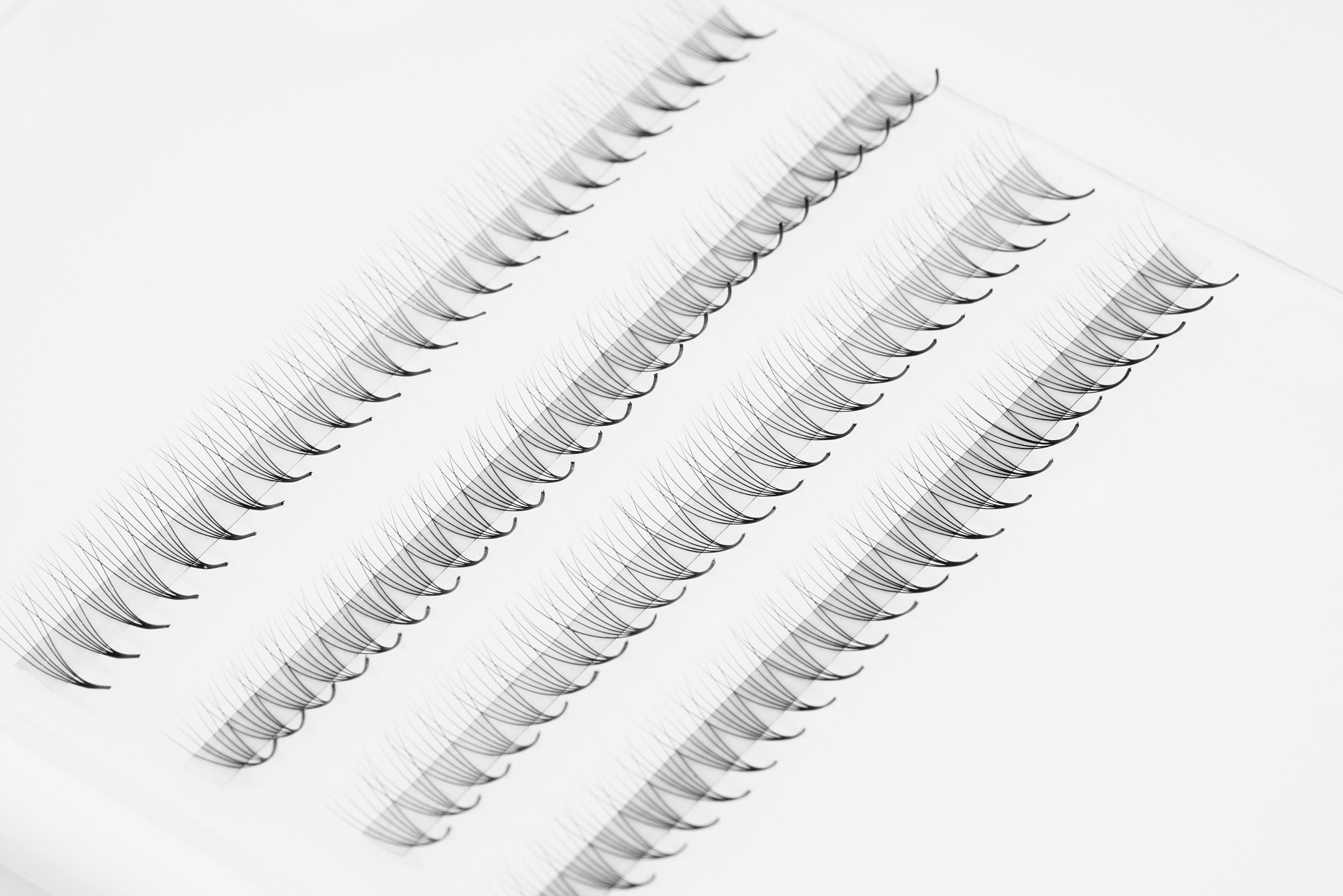 Silicone Lash Palette - 2 Pack