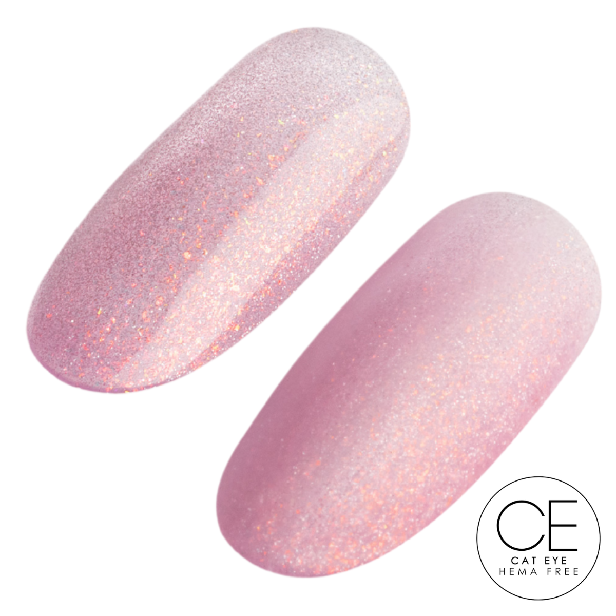 FAIRYTALE - 6pk EXCLUSIVE COLLECTION*