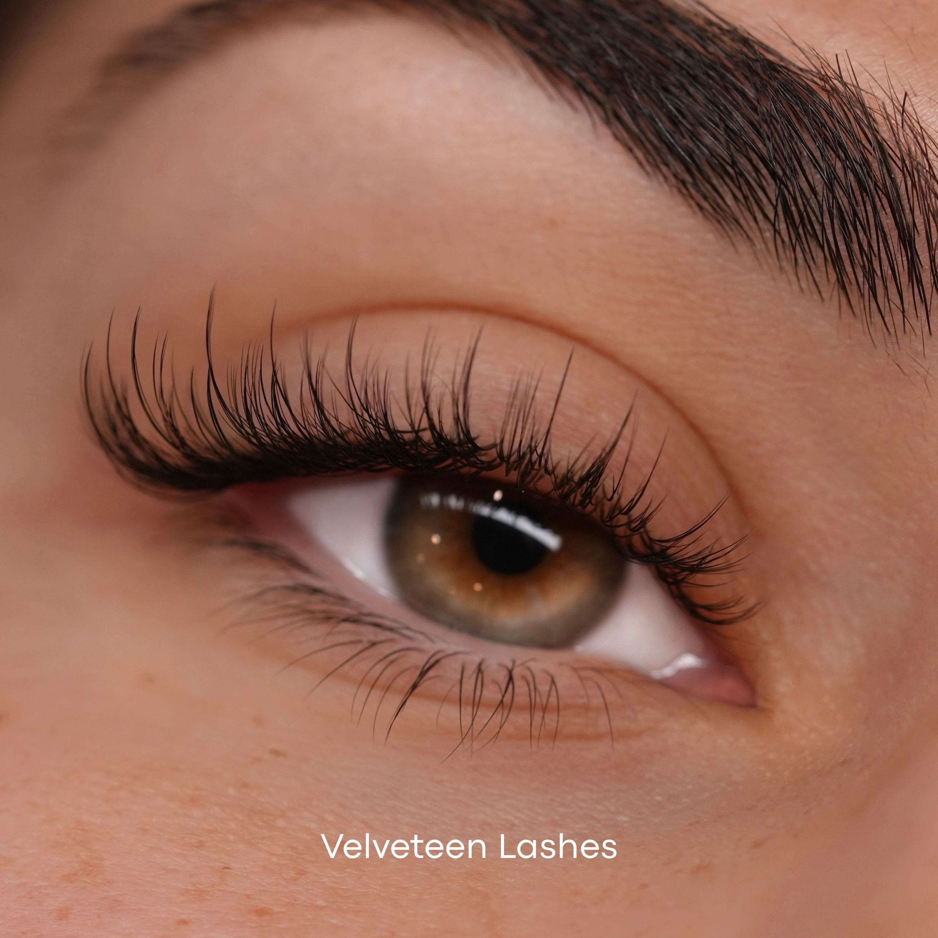 model wearing velveteen volume lashes