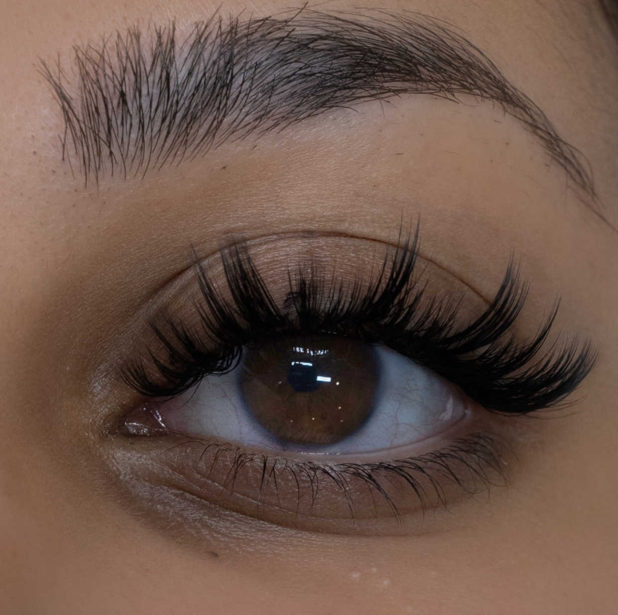 chunky strip lash look using premade lash fans