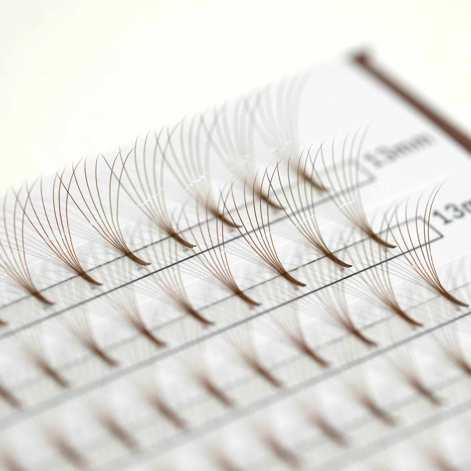 Light Brown Short Stem Pre-Fan Lashes