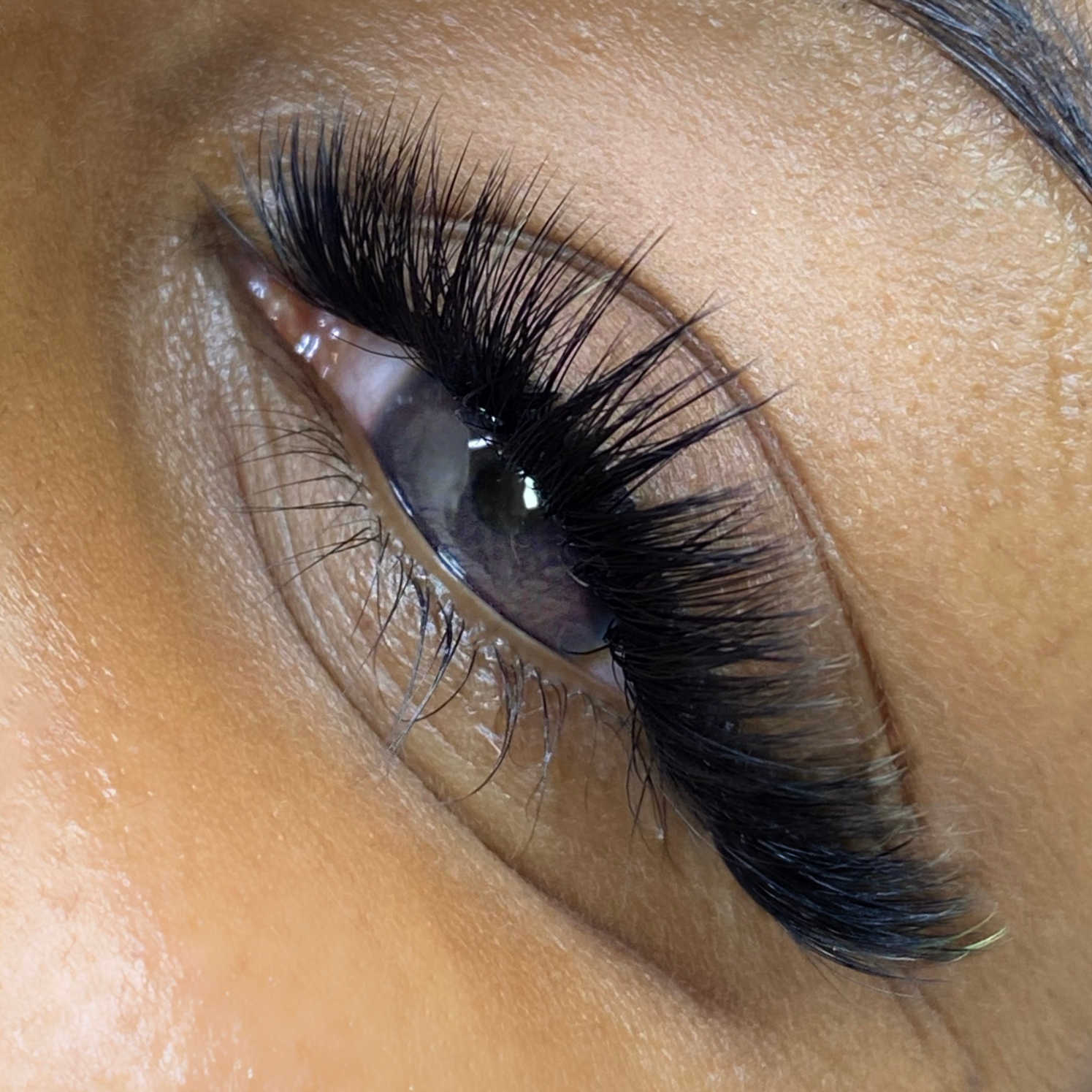 L curl premade lash fans