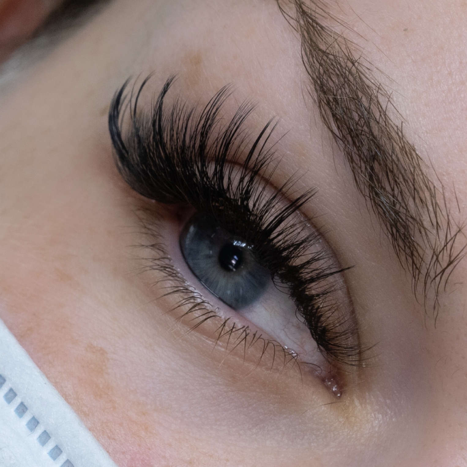 mega volume lash set using easy fan lashes