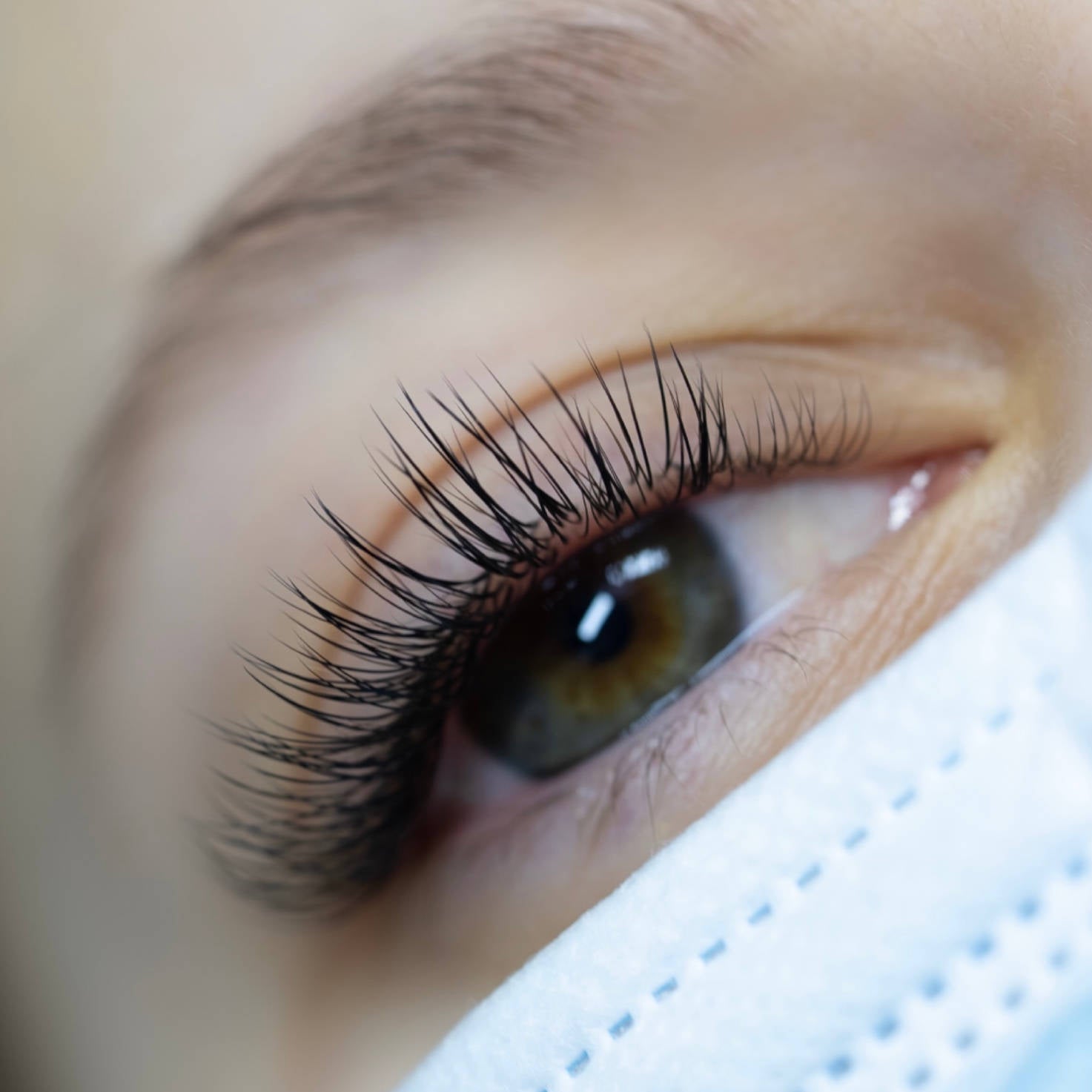 natural classic lash set