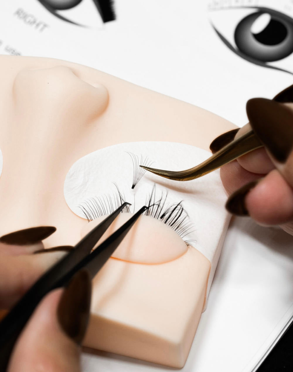 Volume Mastery Online Lash Course- Intermediate
