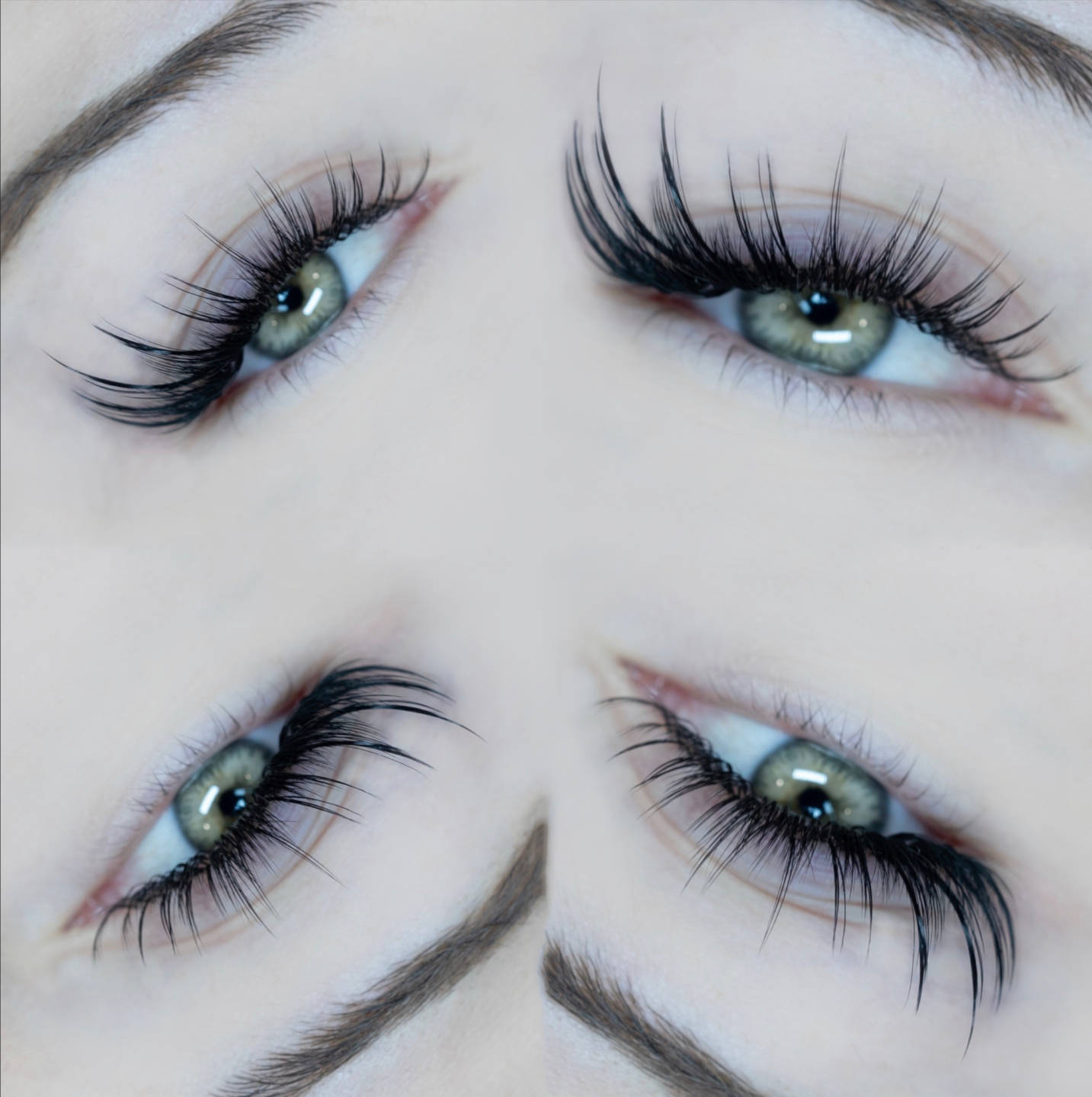 wispy l curl volume wet lash set
