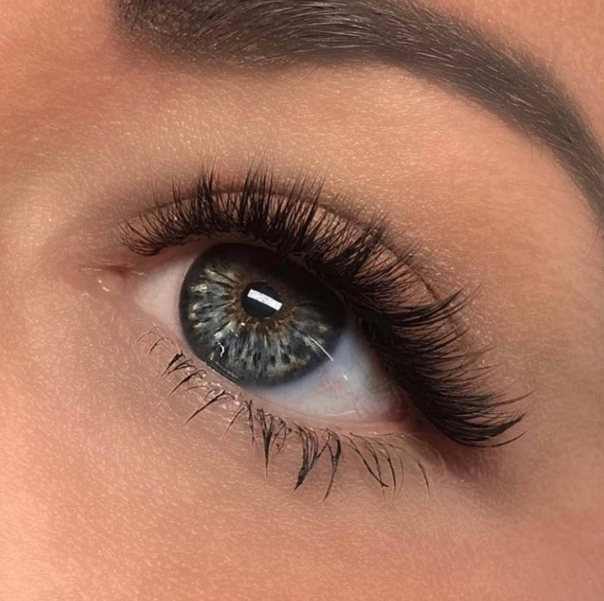 wispy lash set made with premade lashes