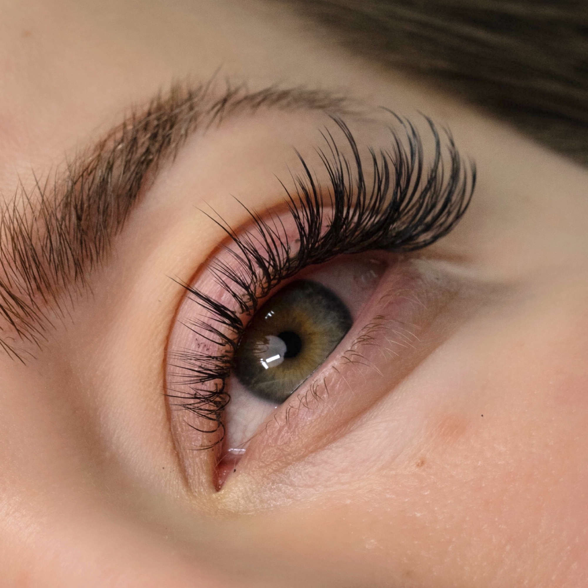 wispy wet lash volume lashes