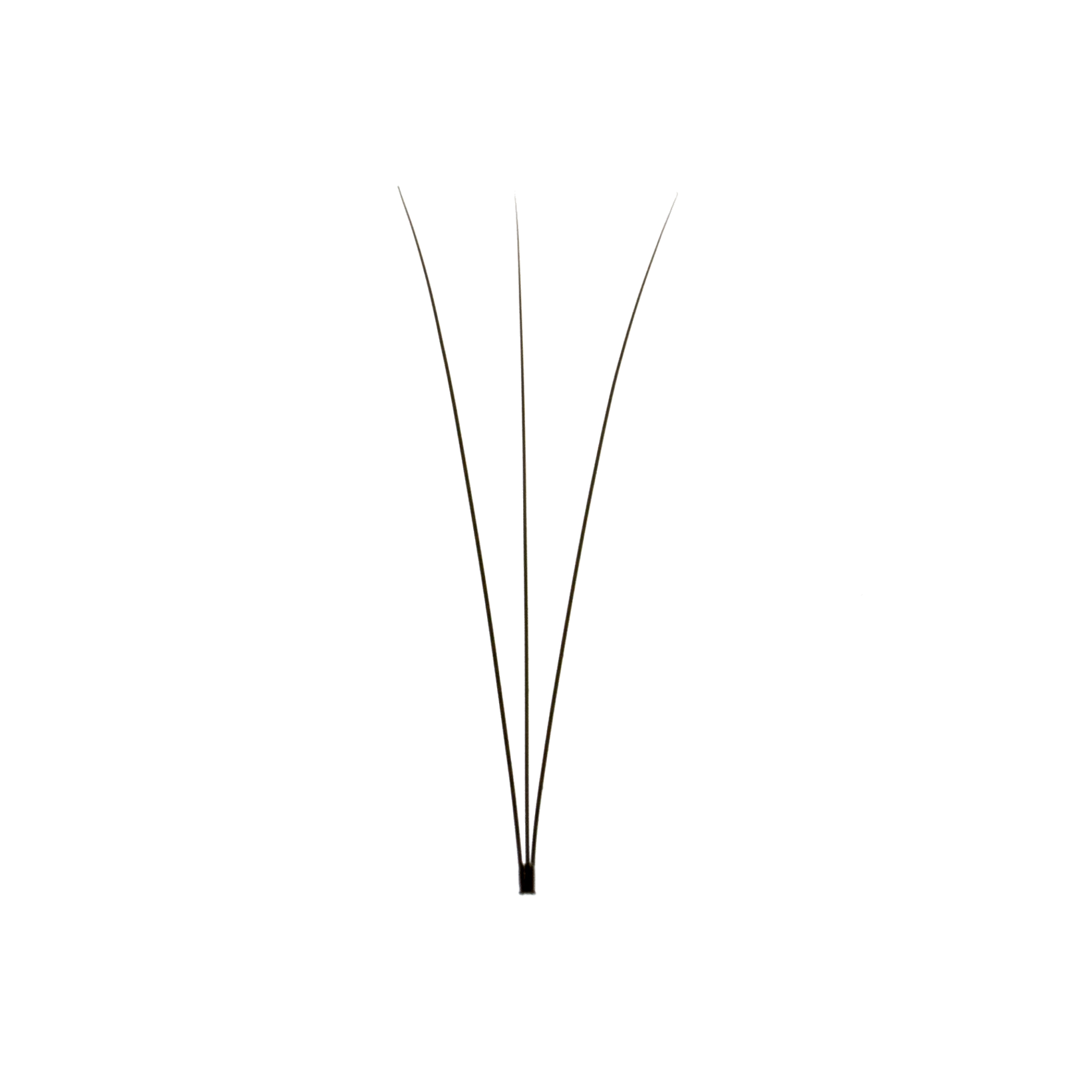 3D Pre Made Eyelash Extension