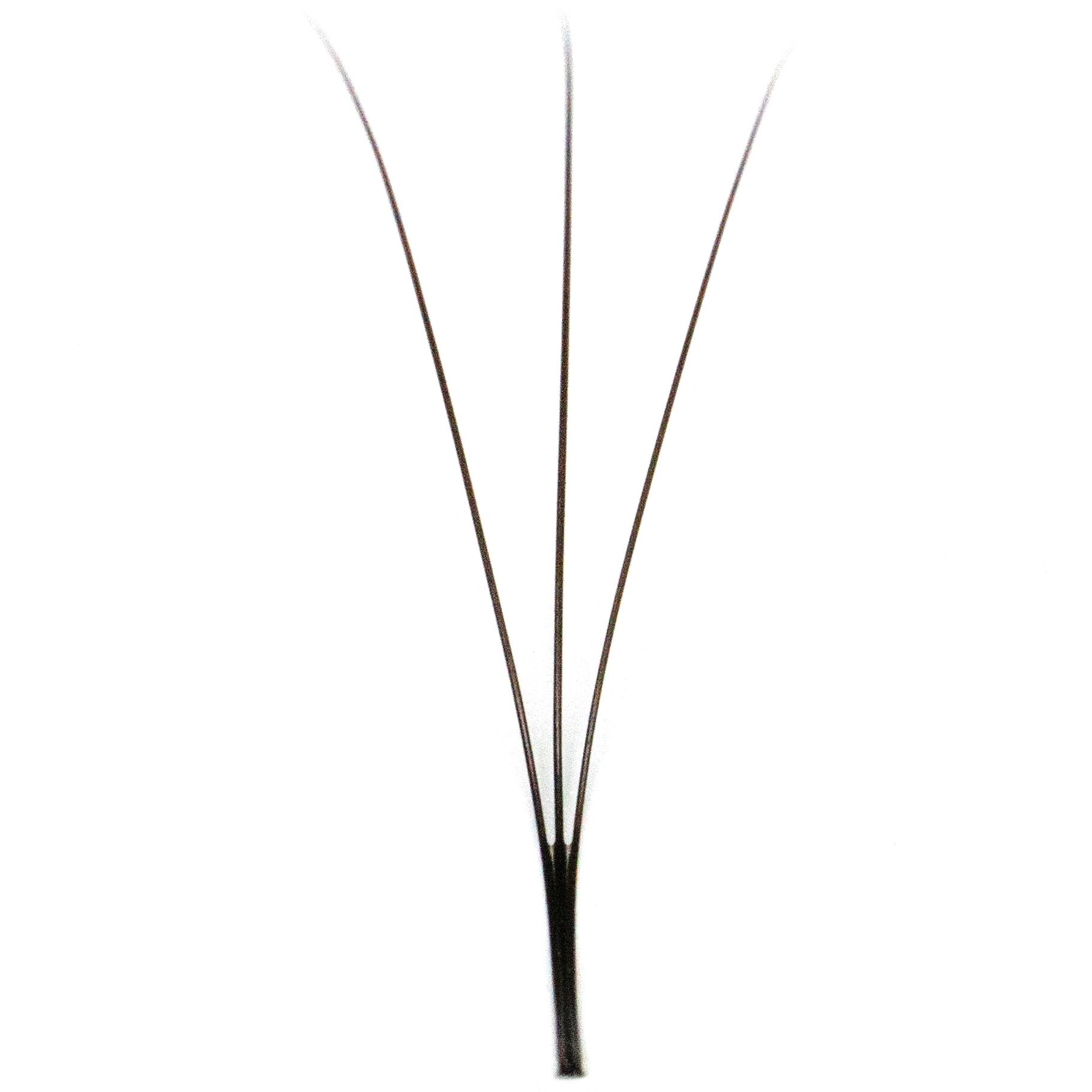 3D Pre Made Long Stem Eyelash Extension