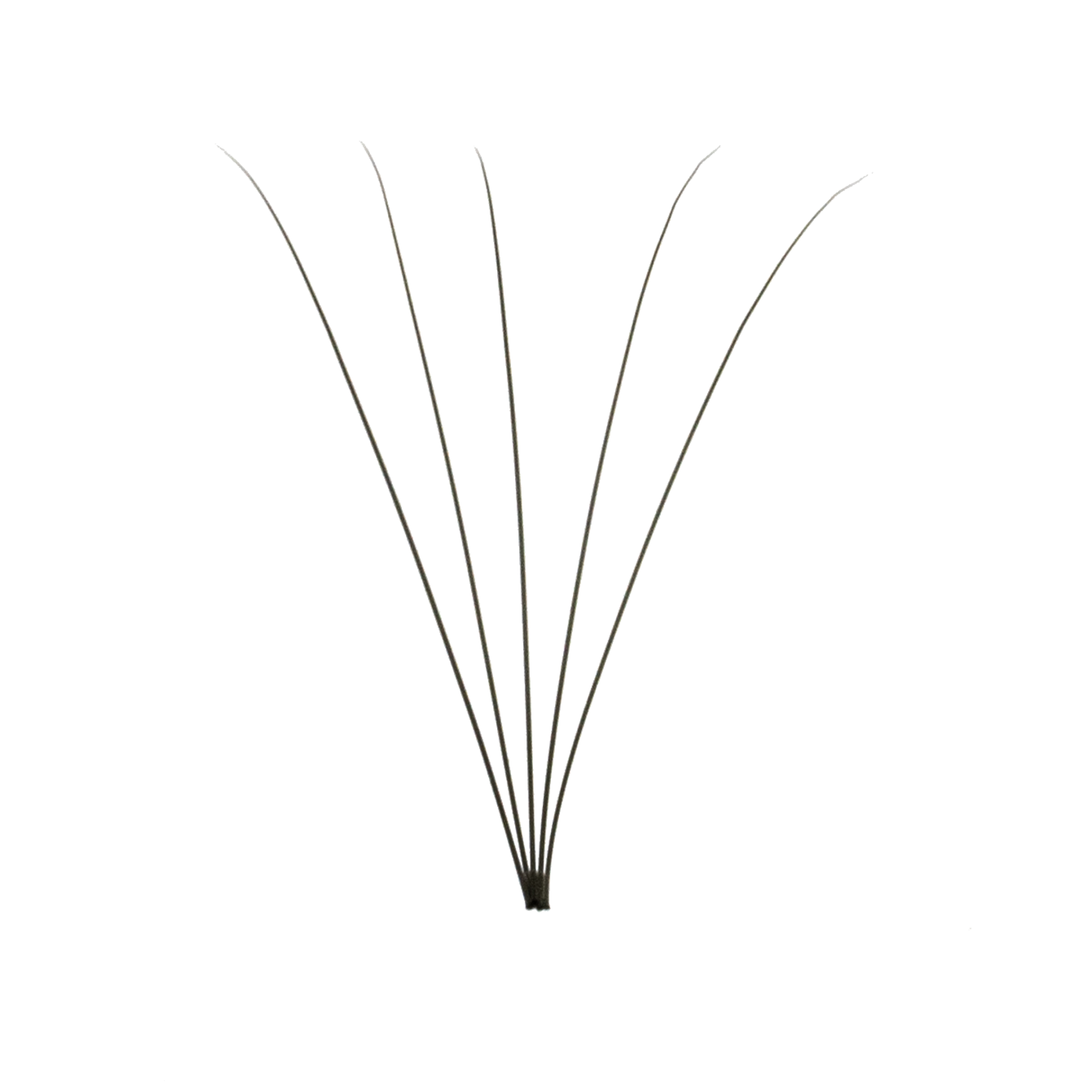 5D Pre Made Eyelash Extension
