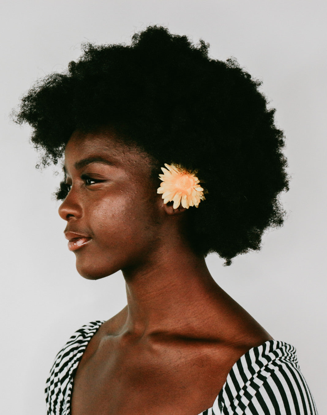 mini online lash training course