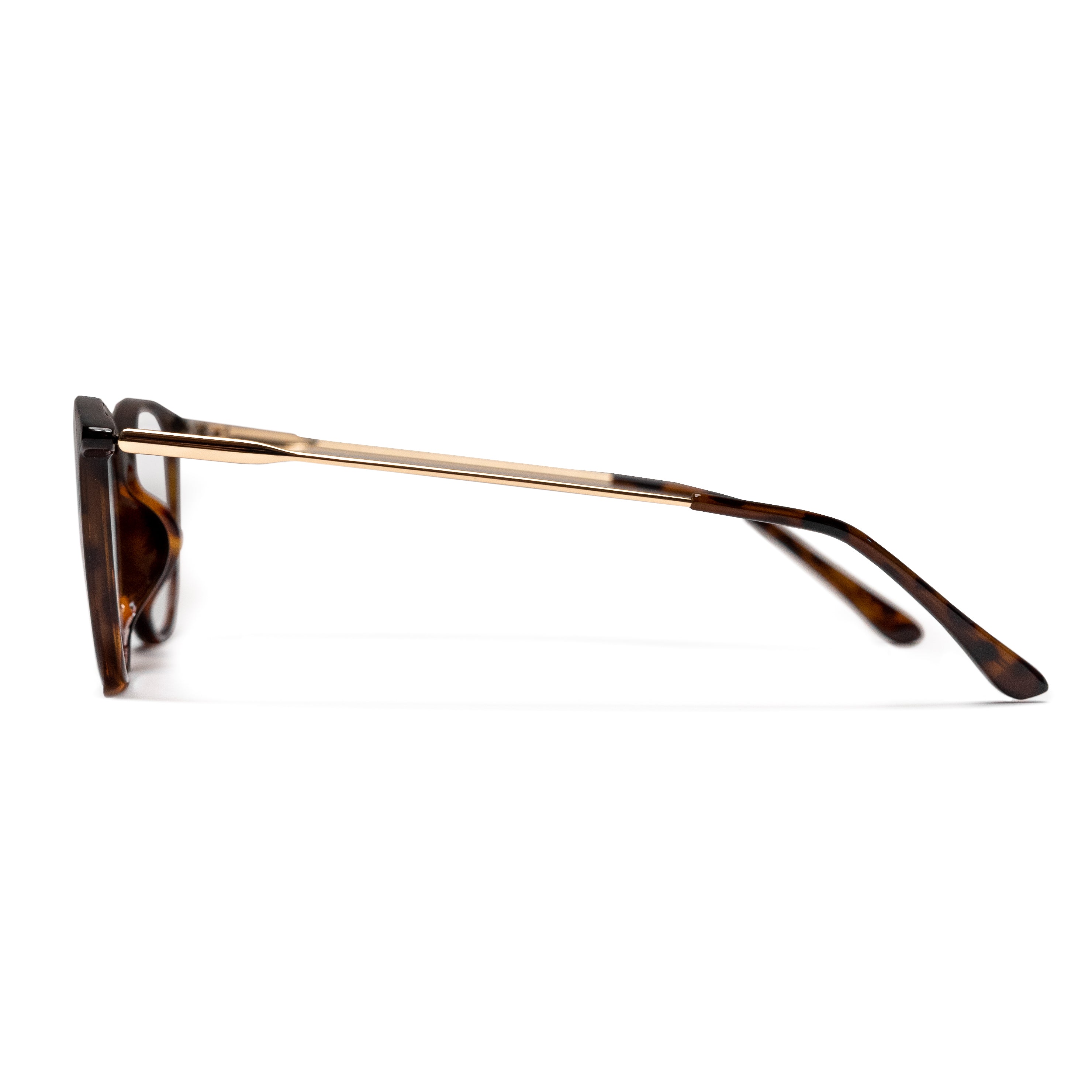 Magnification Glasses