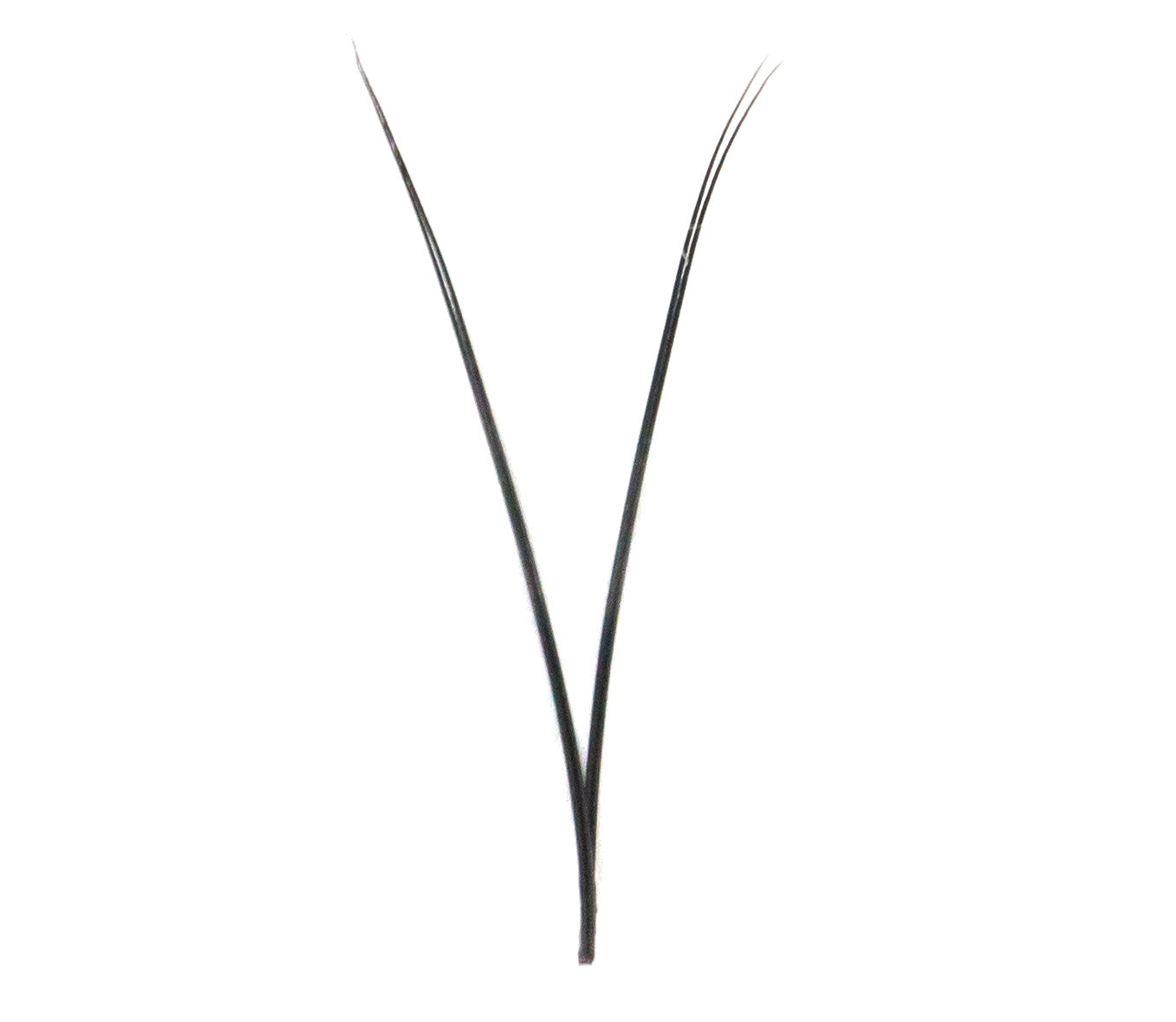 V Neck Lashes