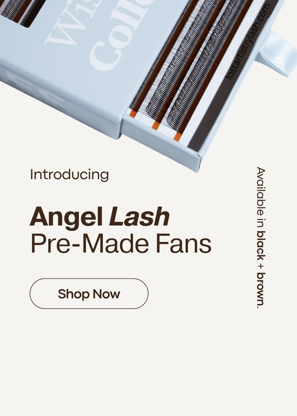 angel lash prefans