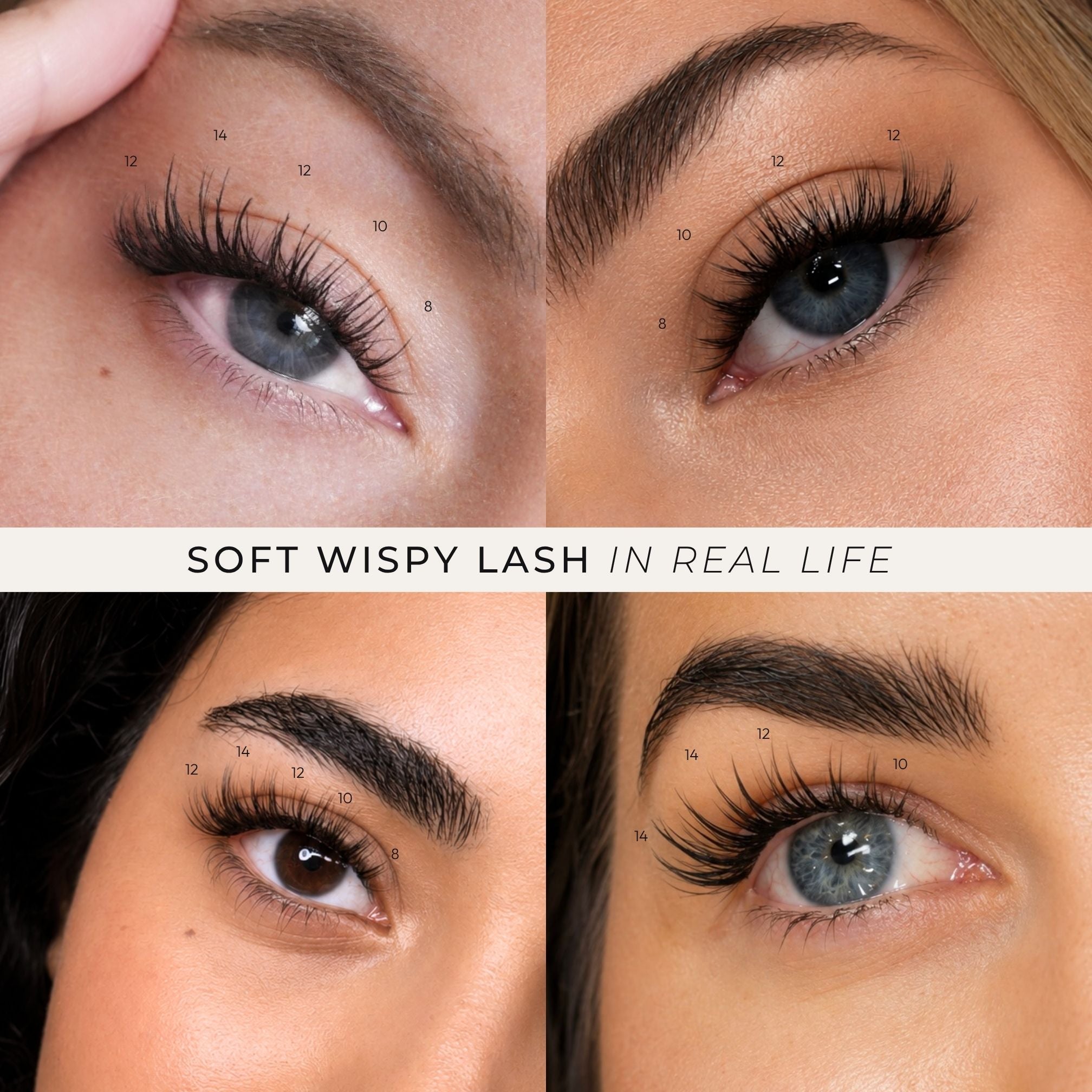 A four-panel close-up collage showing a woman's eyes with long, curled false eyelashes and numbered callouts indicating lash zones. The panels demonstrate the lashes on different eye colors and skin tones, with the text 'SOFT WISPYLASH IN REAL LIFE' across the center.