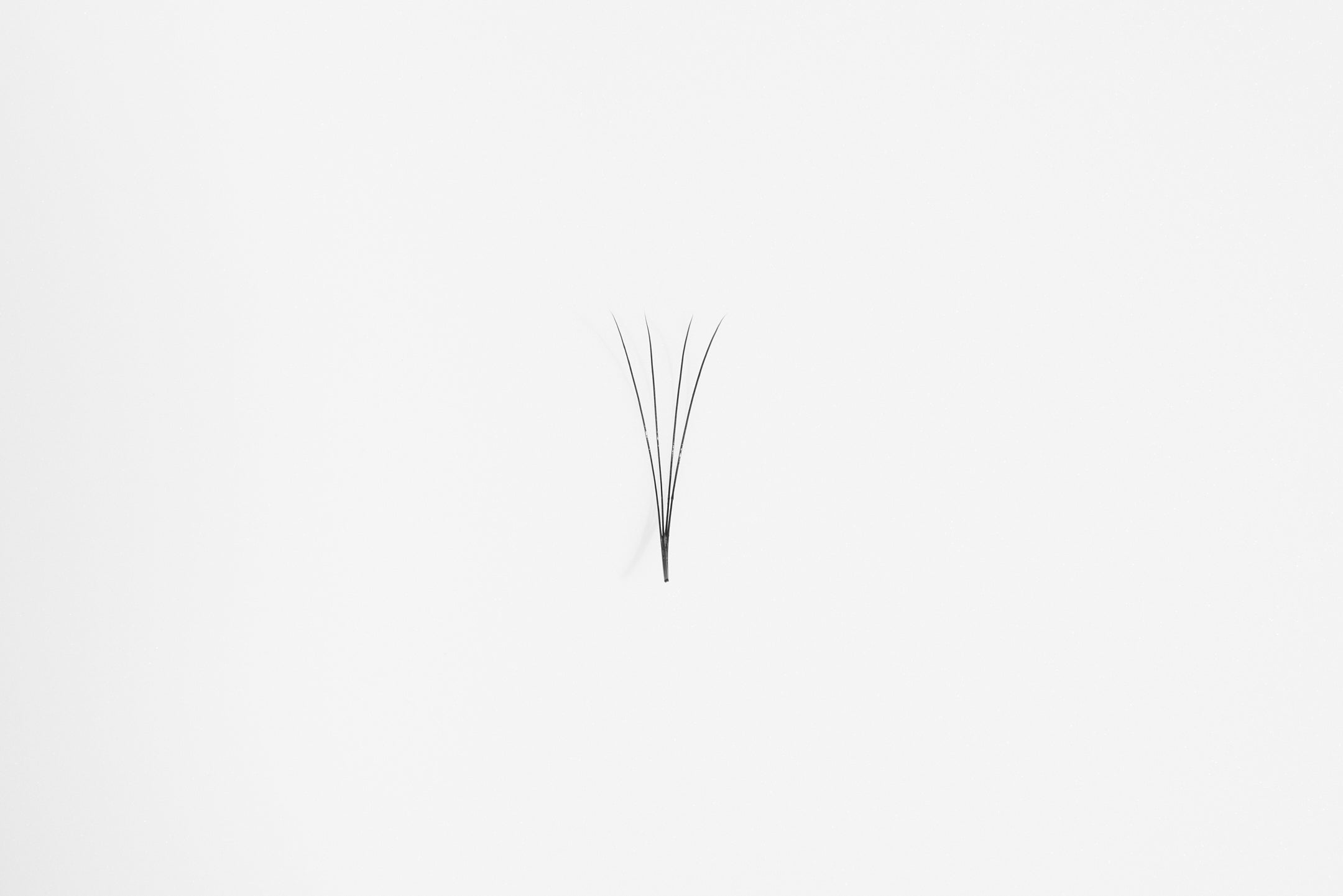 Premade Volume Lash Fans