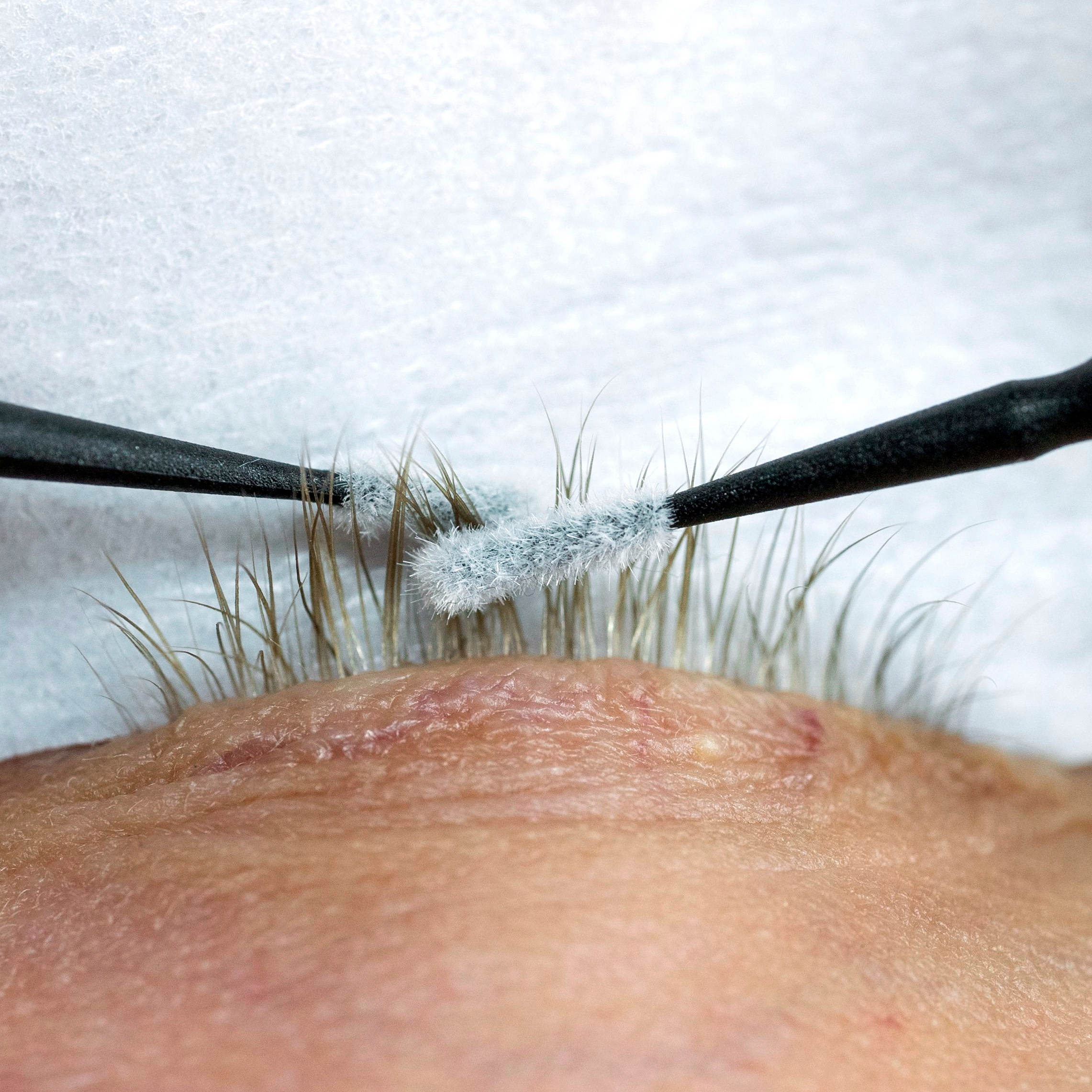 bondaid being applied to a client's natural lashes with microswabs