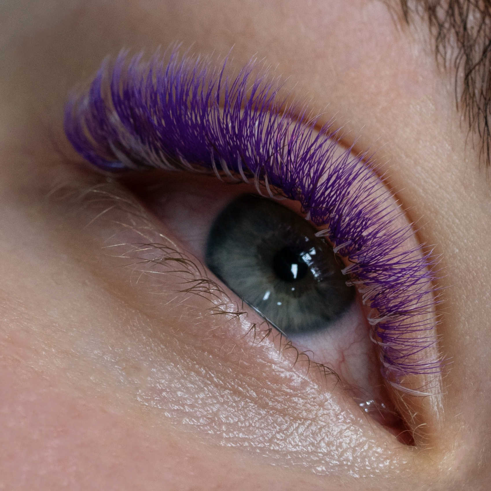purple color lash extensions